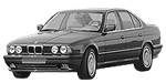 BMW E34 P179E Fault Code